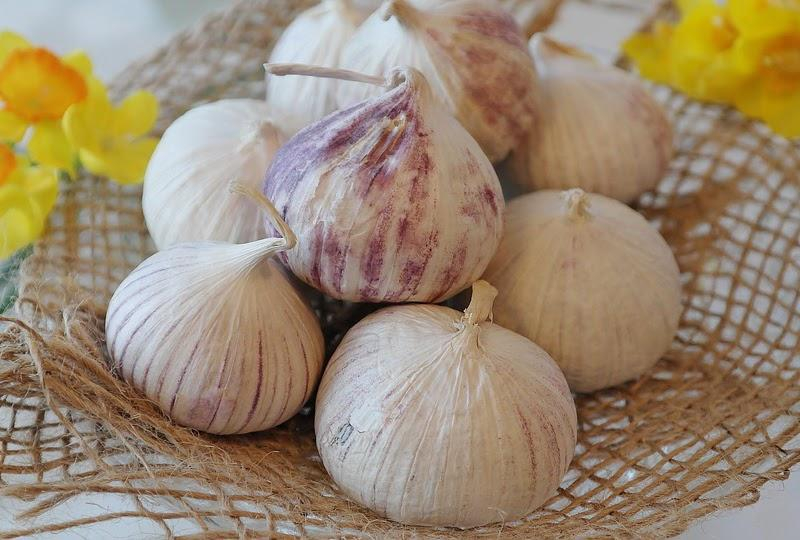 Những tiêu chuẩn cần lưu ý  trong sản xuất tỏi đen
